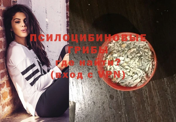 дживик Осинники
