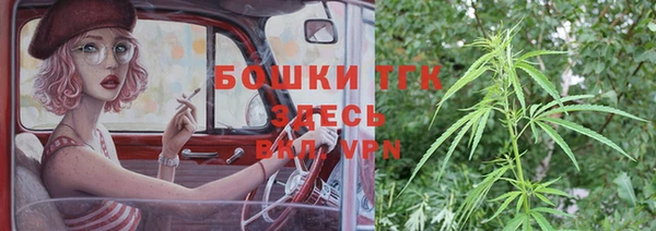 дживик Осинники