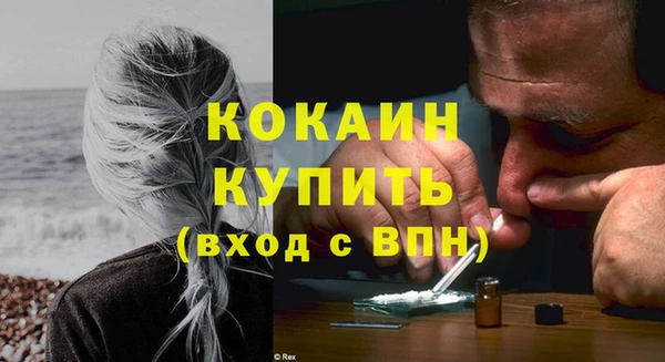 дживик Осинники