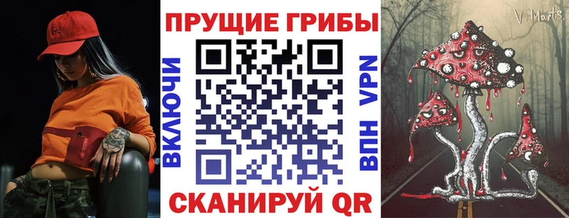 Псилоцибиновые грибы Psilocybine cubensis  KRAKEN зеркало  Фролово 